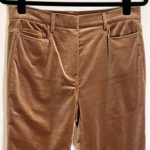 Judith & Charles velvet pants, never worn.